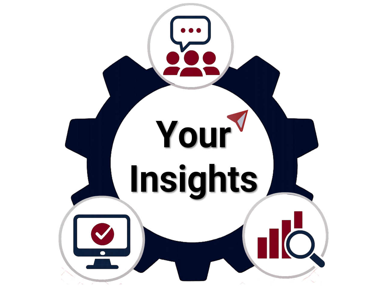 Your Insights