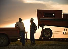 Farmers and tractors at sunset