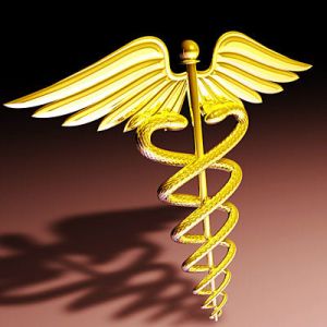 2010 Chicago Heartland Conference: Meeting America’s Need for a Quality Direct Care Workforce. 