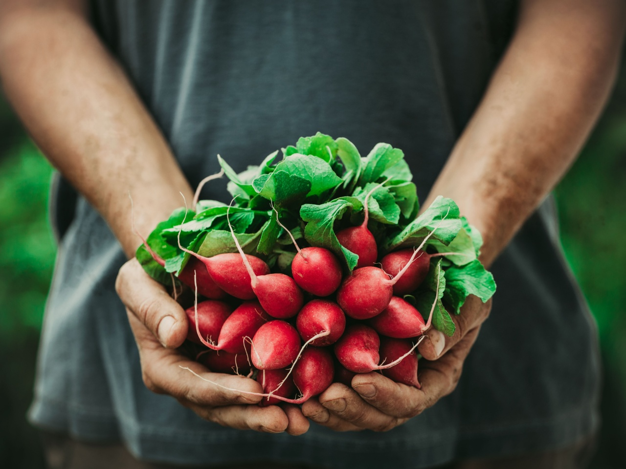 AgriculturalConnectionThumbnail