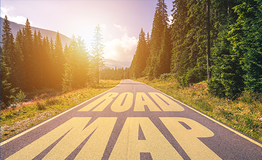 Roadmap Thumbnail