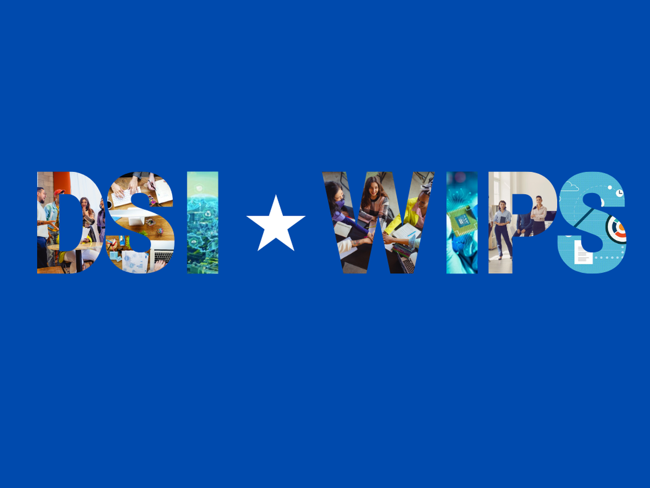 Word art that says "DSI WIPS"