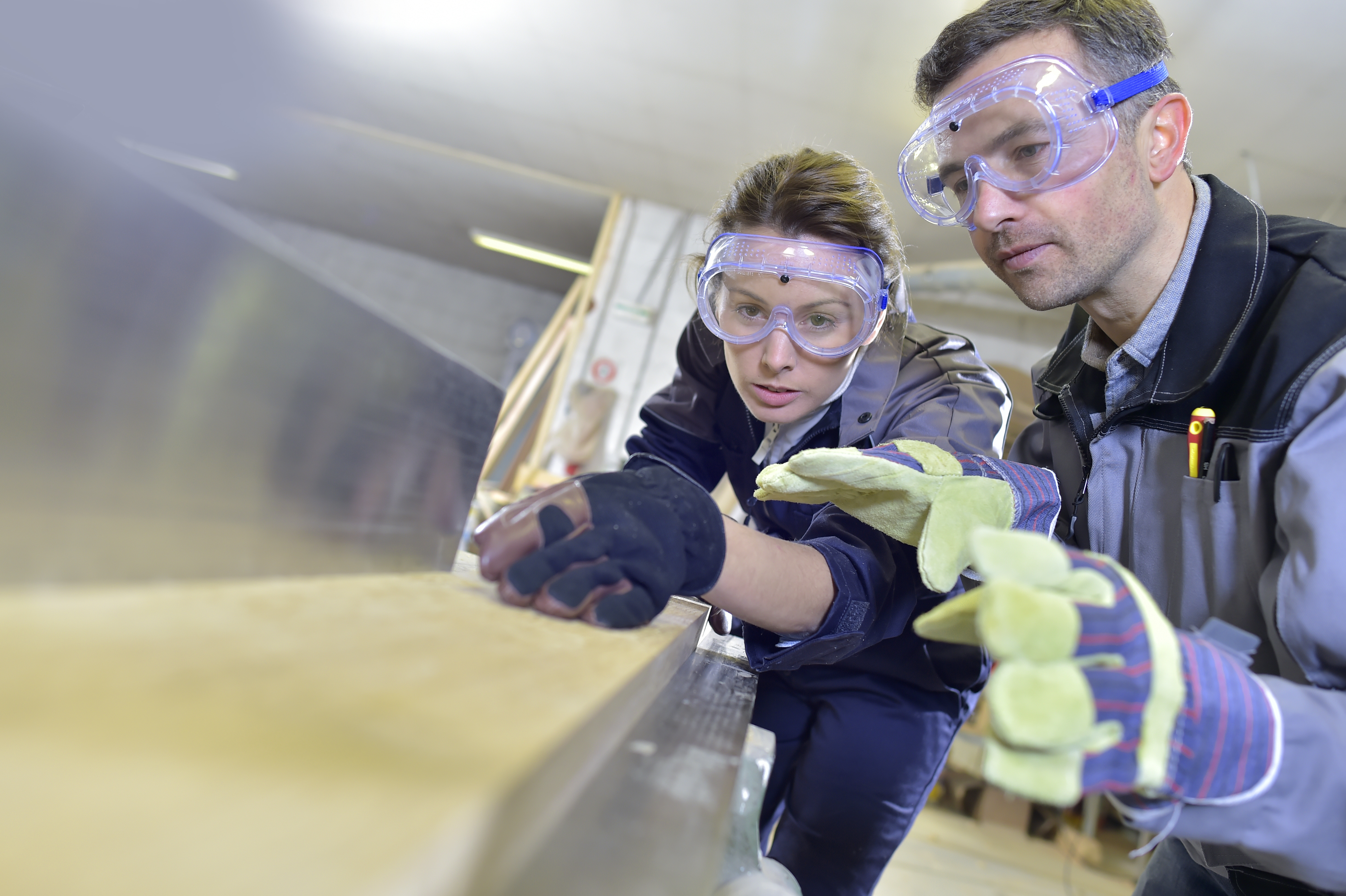 Youth Apprentice and Mentor