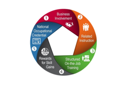 Circle graphic with five parts