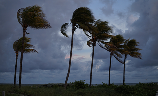 beach-before-hurricane.png
