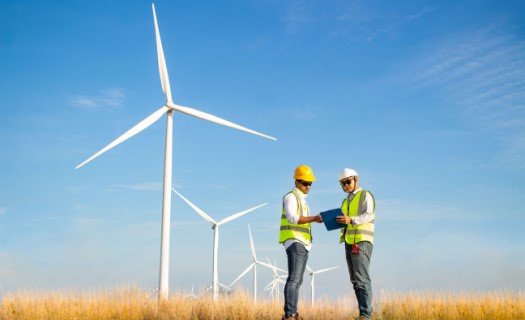 Solar Industry Workers
