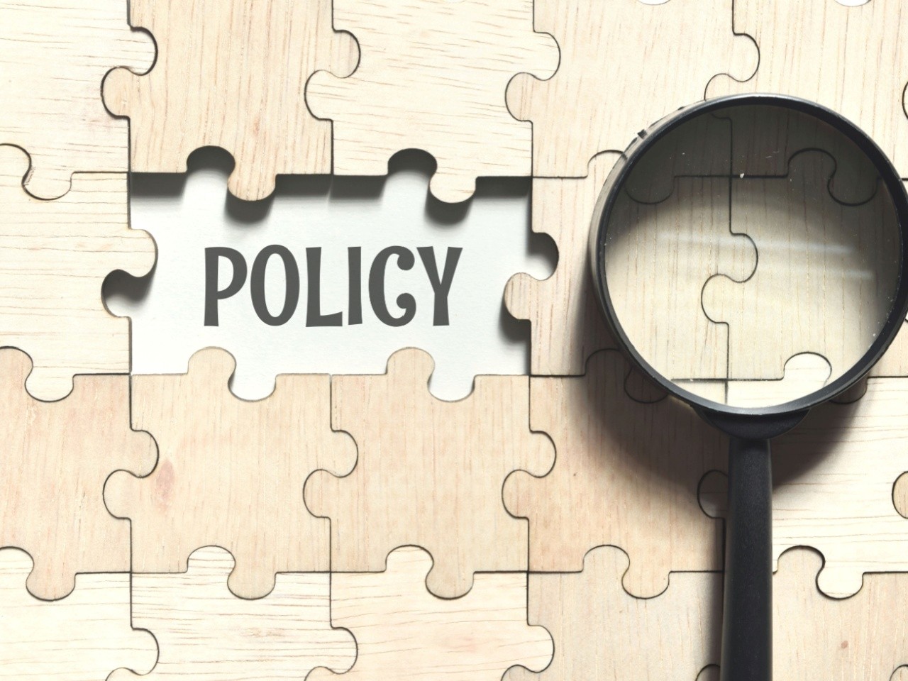 missing policy puzzle piece with magnifying glass