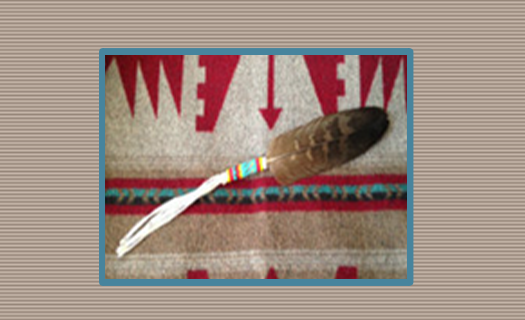 INA Community Icon