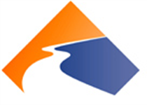 ION Icon