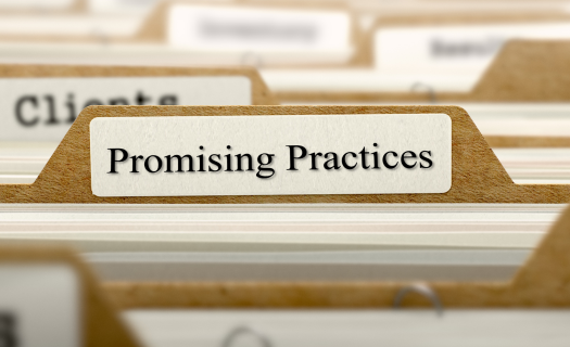promising practices