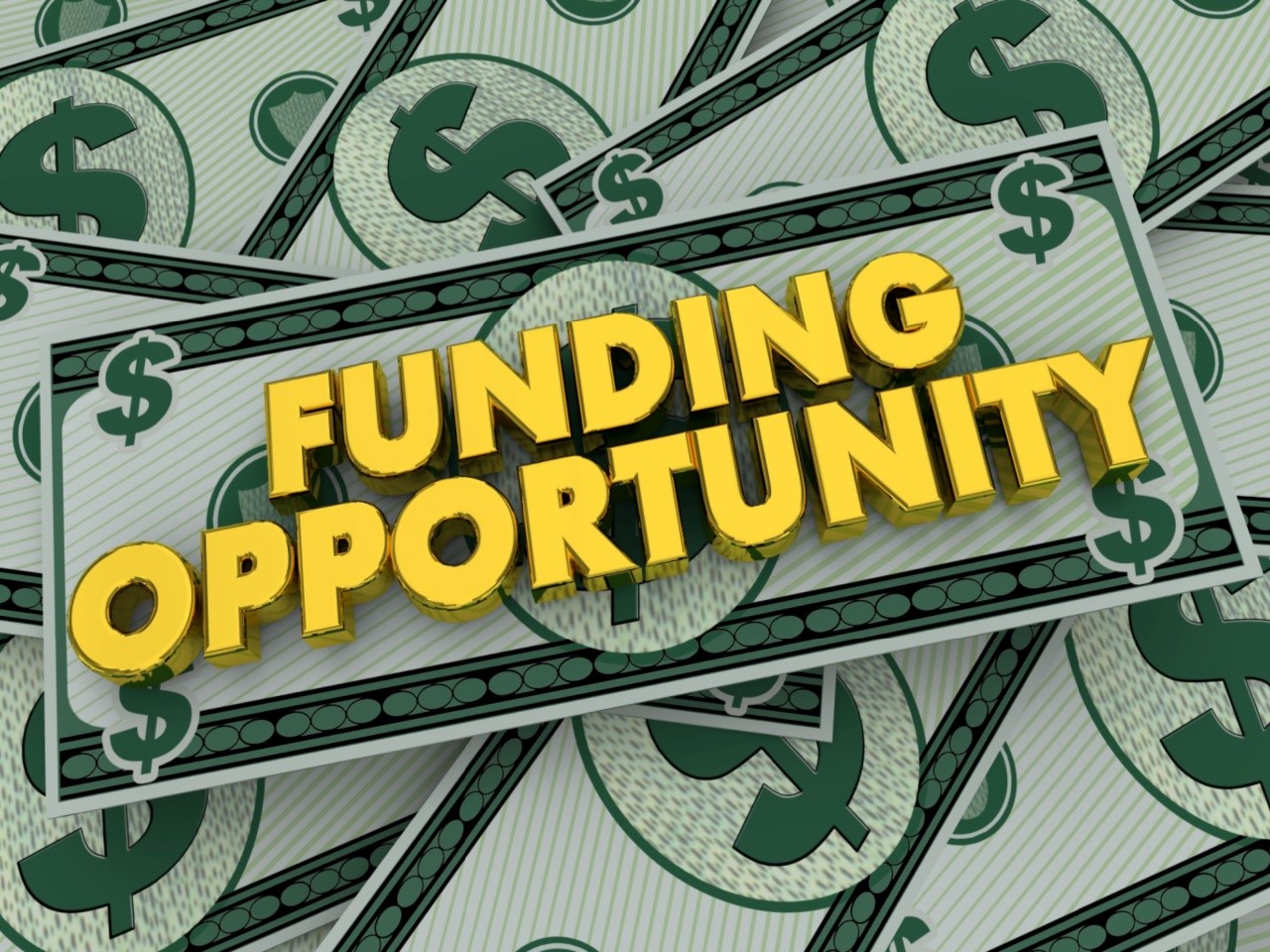 "Funding Opportunity"