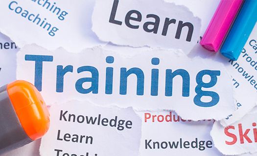 Business Training banner.png