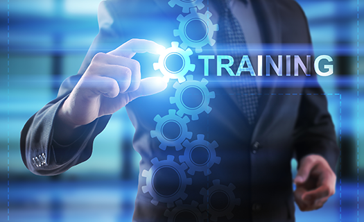 Businessan selecting Training.png