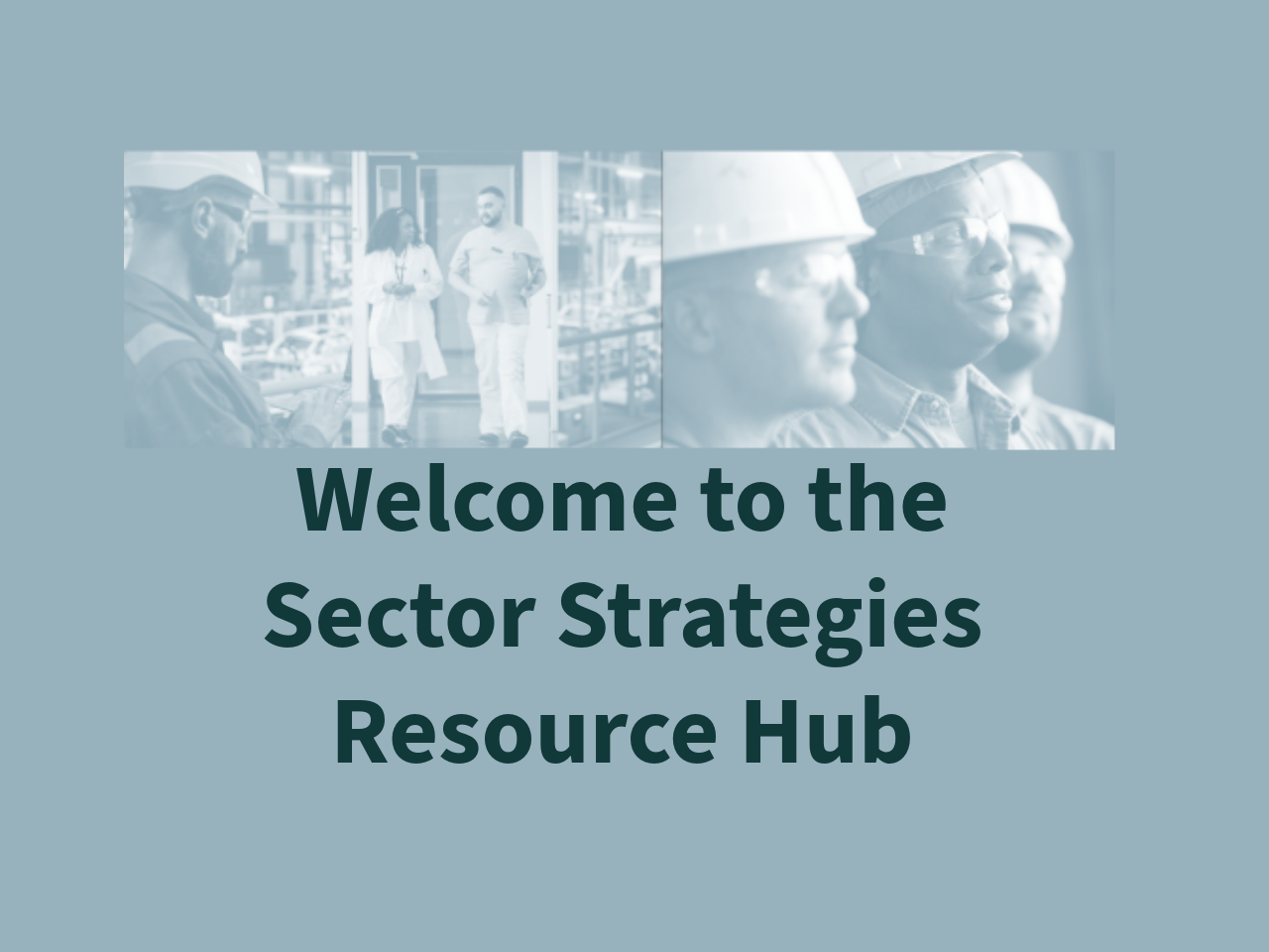Welcome to the Sector Strategies Resource Hub