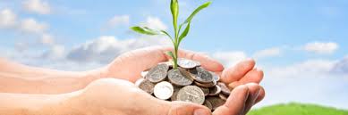 Money tree