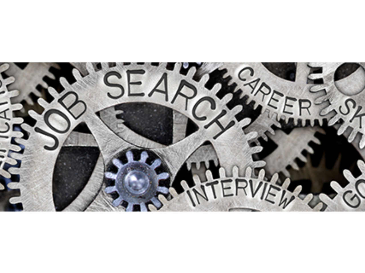 Gears that say "job search," "career," and "interview"