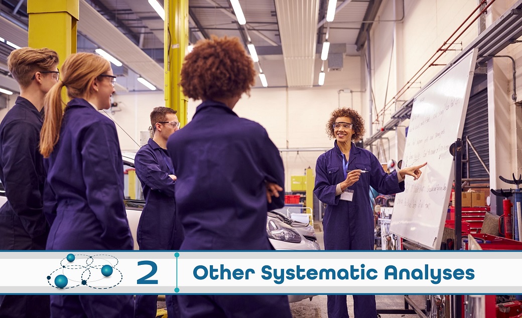 Level 2: Other Systematic Analysis