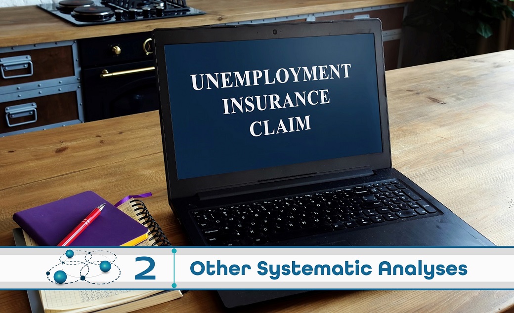 Level 2: Other Systematic Analysis