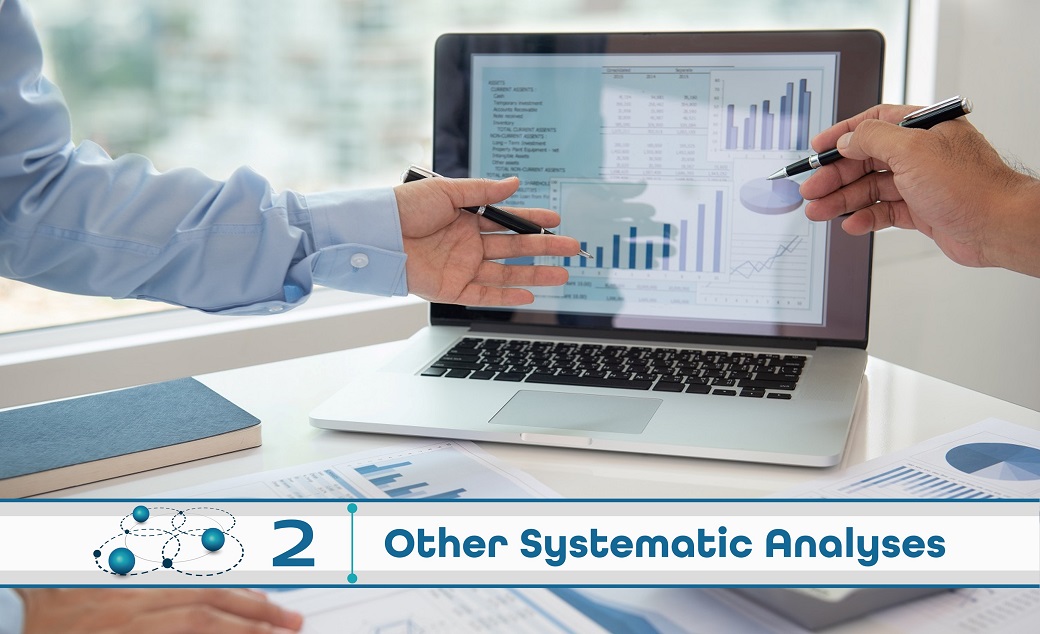 Level 2: Other Systematic Analysis