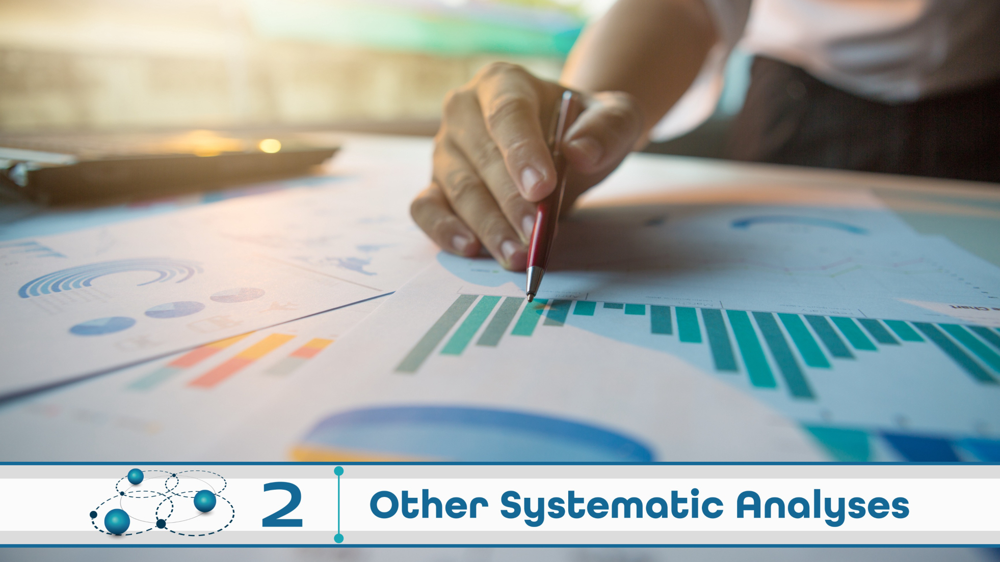  Level 2: Other Systematic Analysis