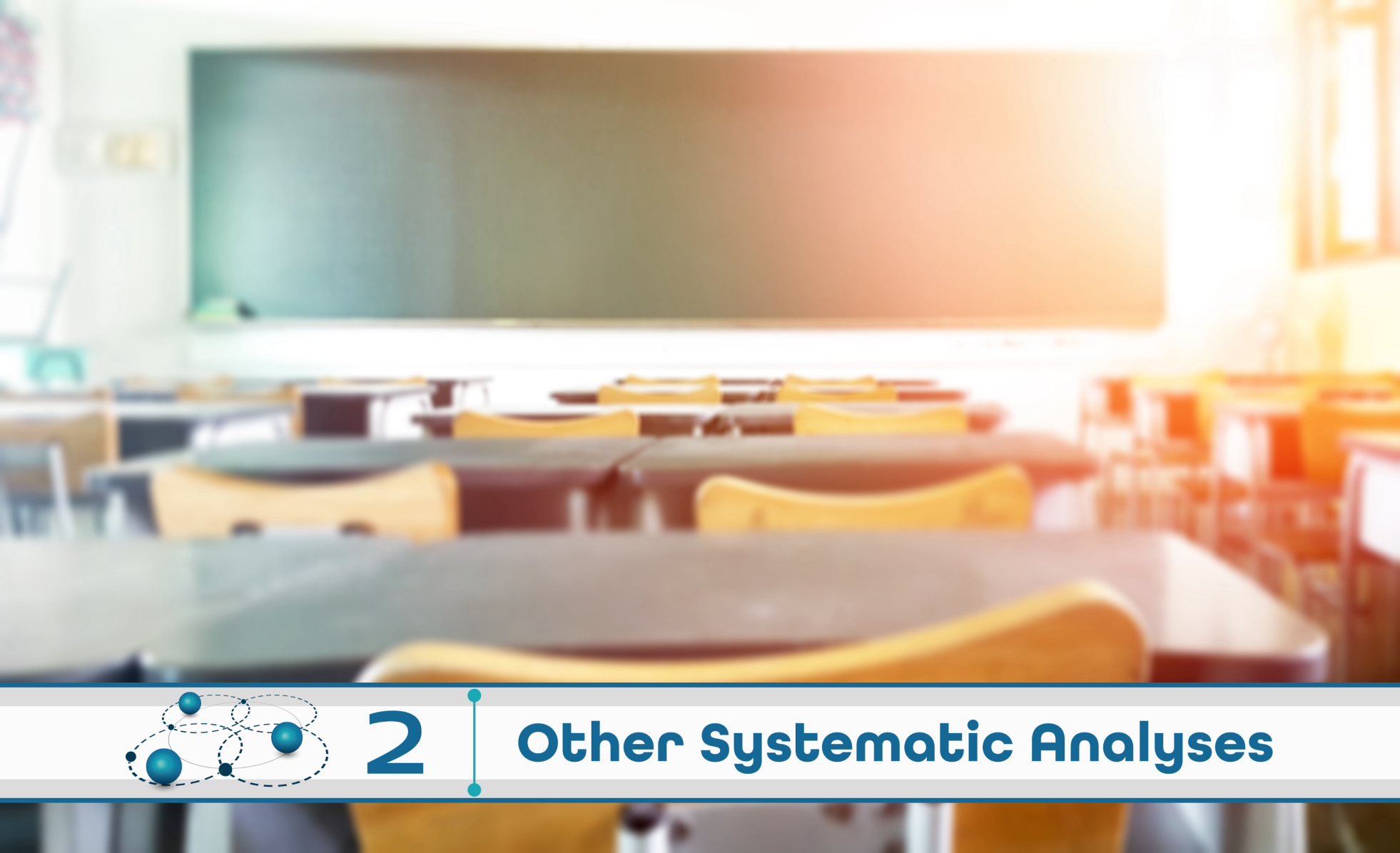 Level 2: Other Systematic Analysis