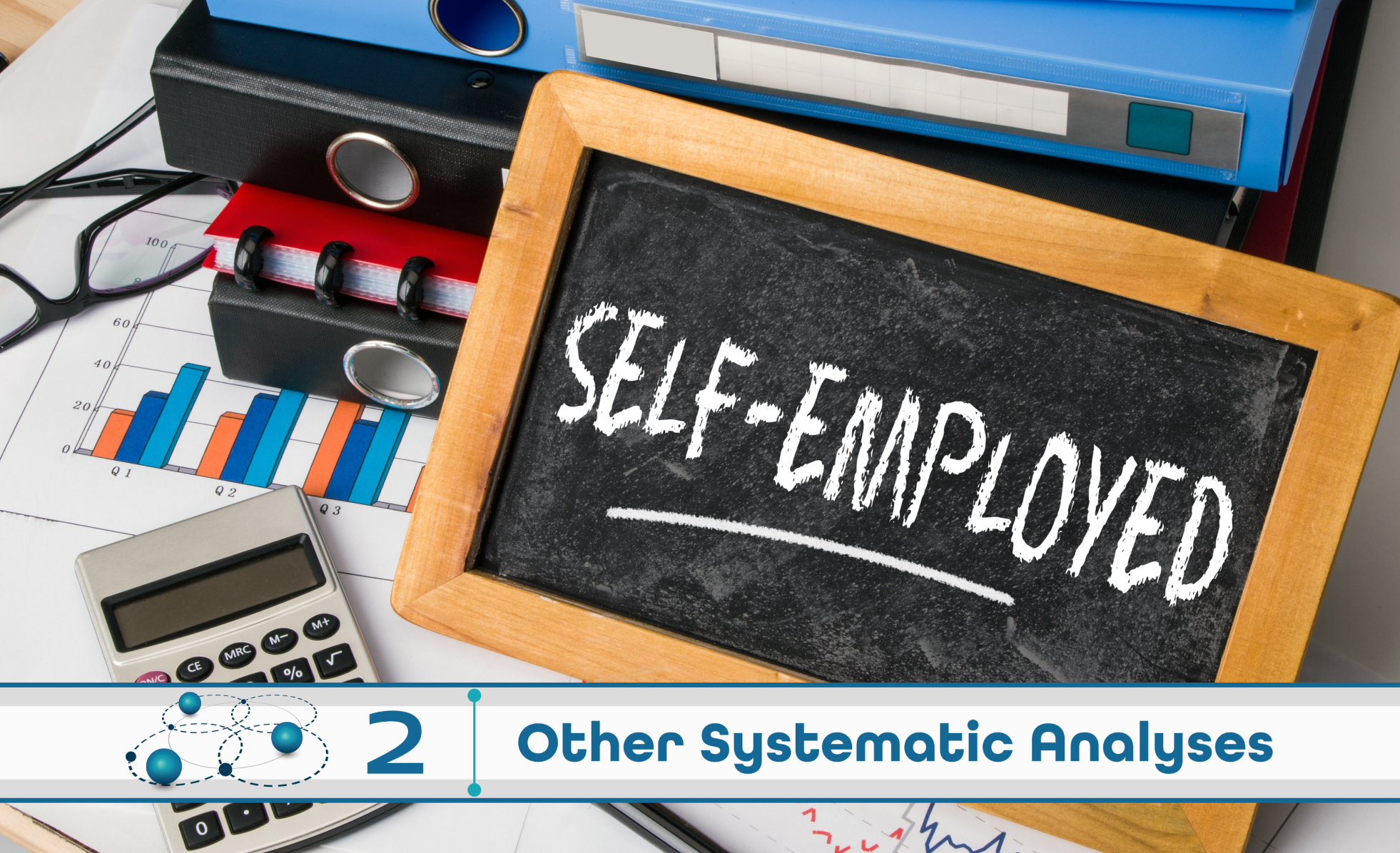 Level 2: Other Systematic Analysis