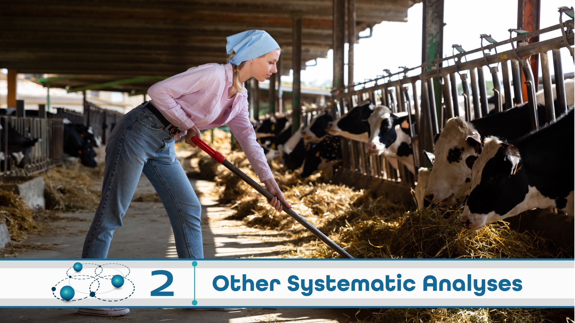 Level 2: Other Systematic Analysis