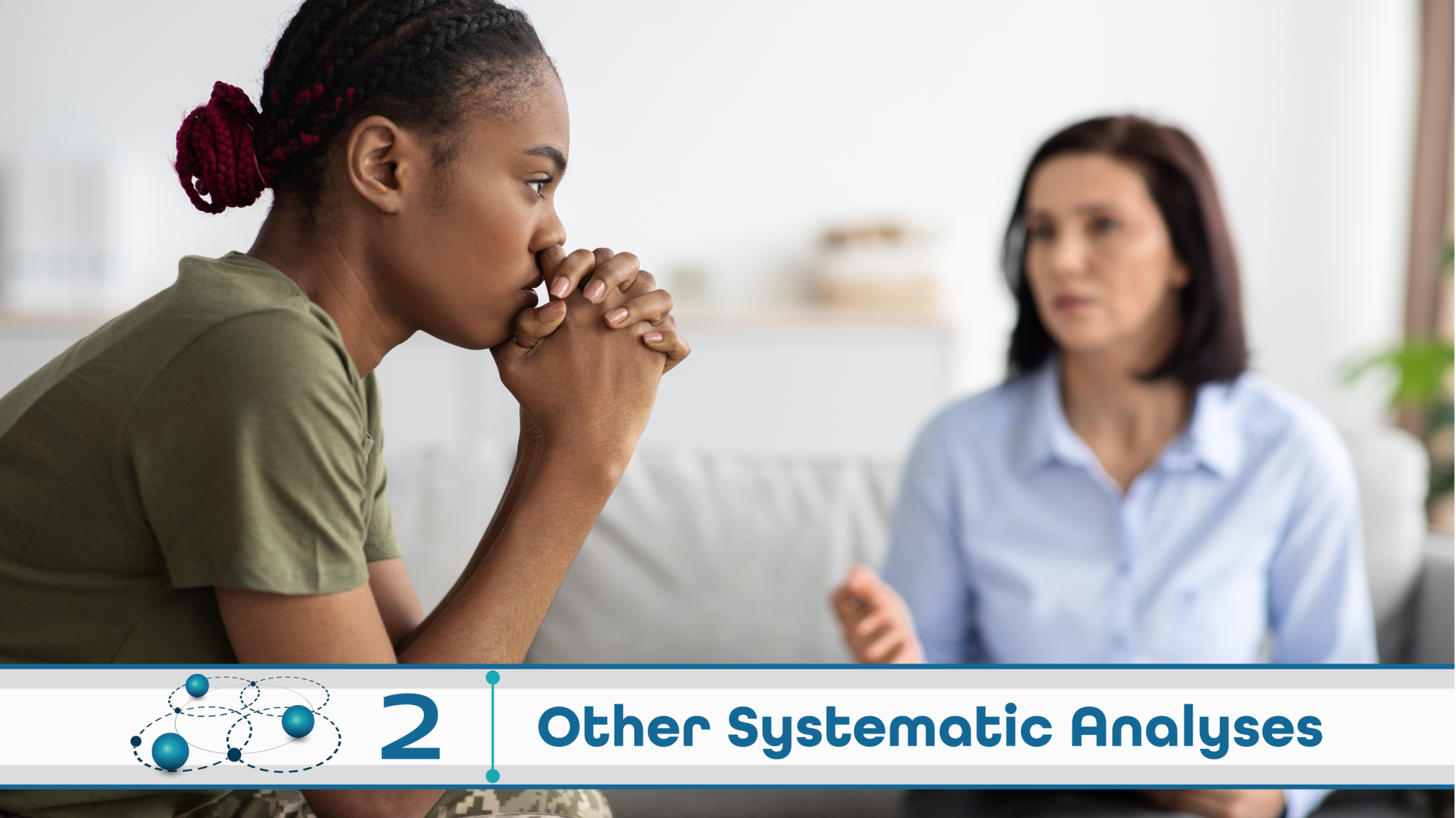 Level 2: Other Systematic Analysis