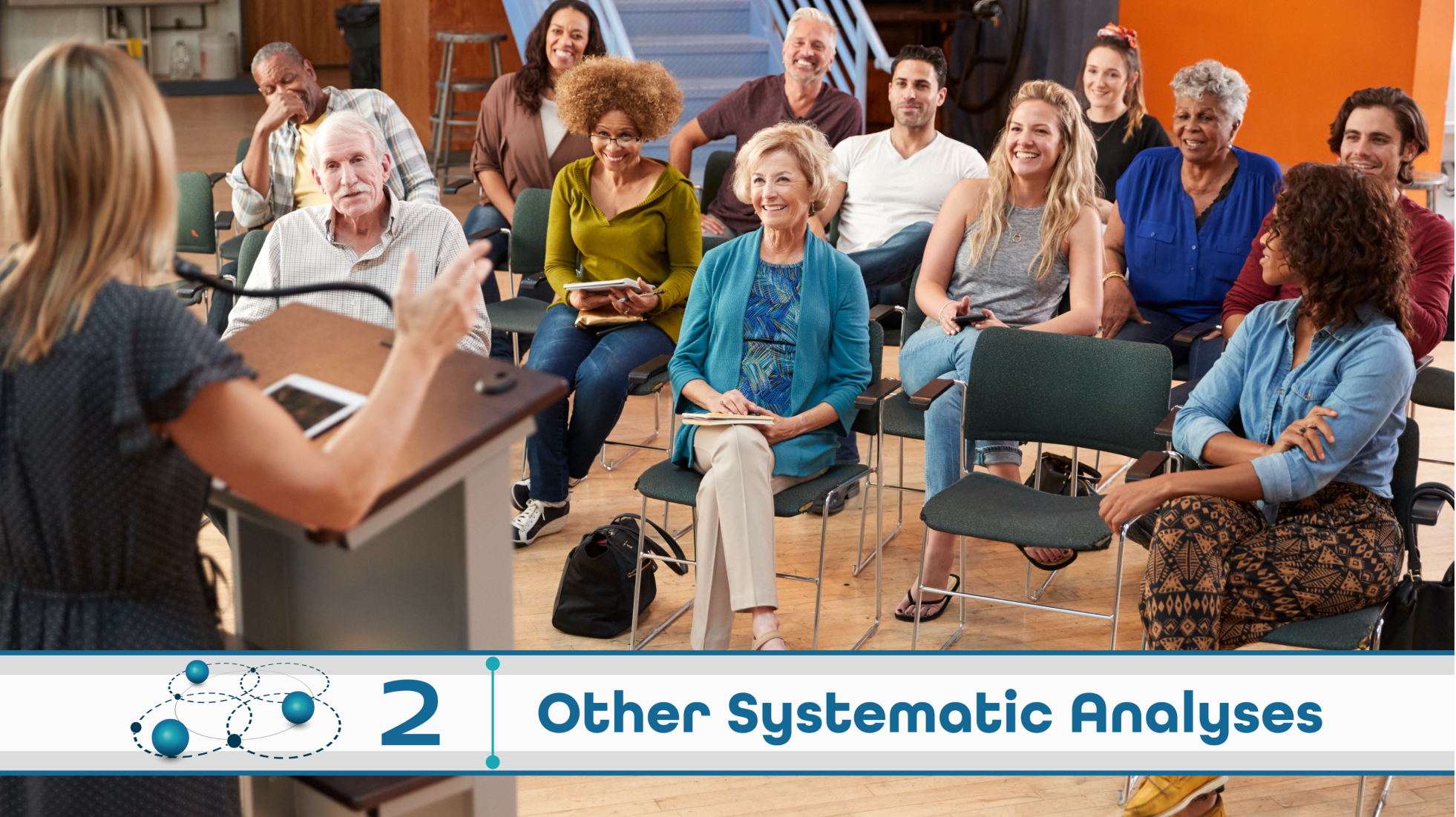 Level 2: Other Systematic Analysis