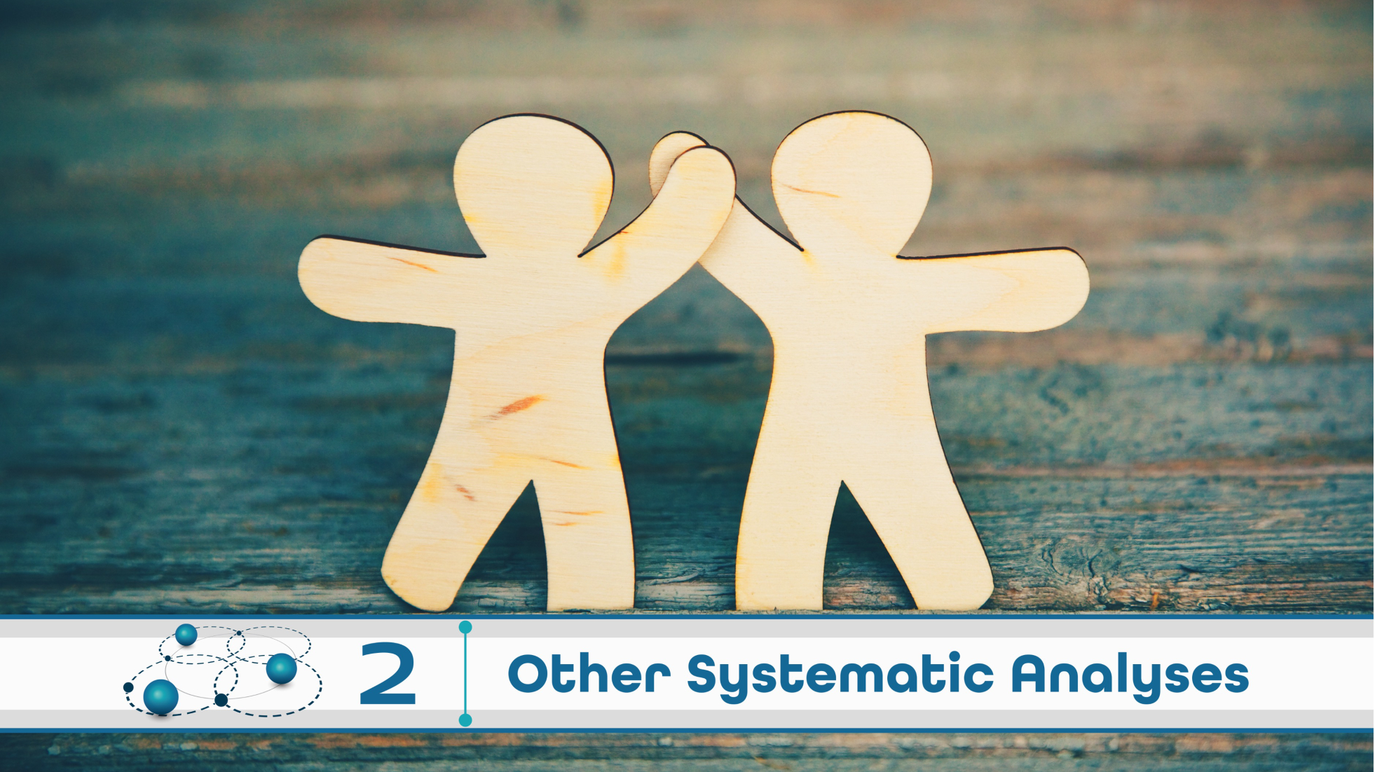 Level 2: Other Systematic Analysis