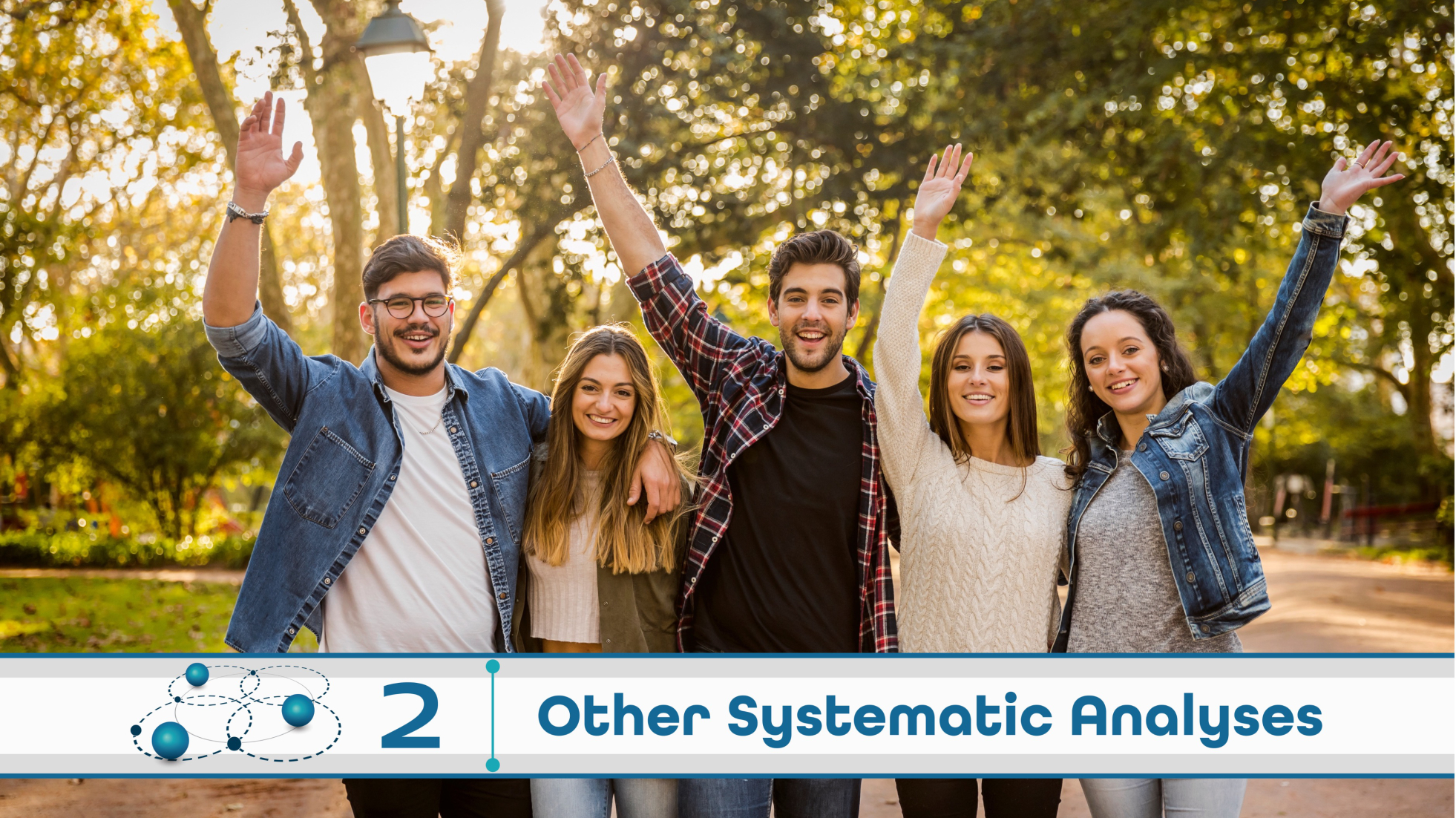 Level 2: Other Systematic Analysis