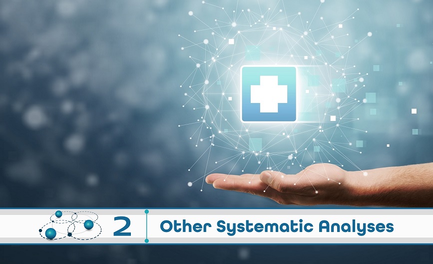 Level 2: Other Systematic Analysis