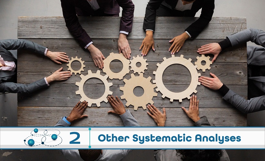 Level 2: Other Systematic Analysis