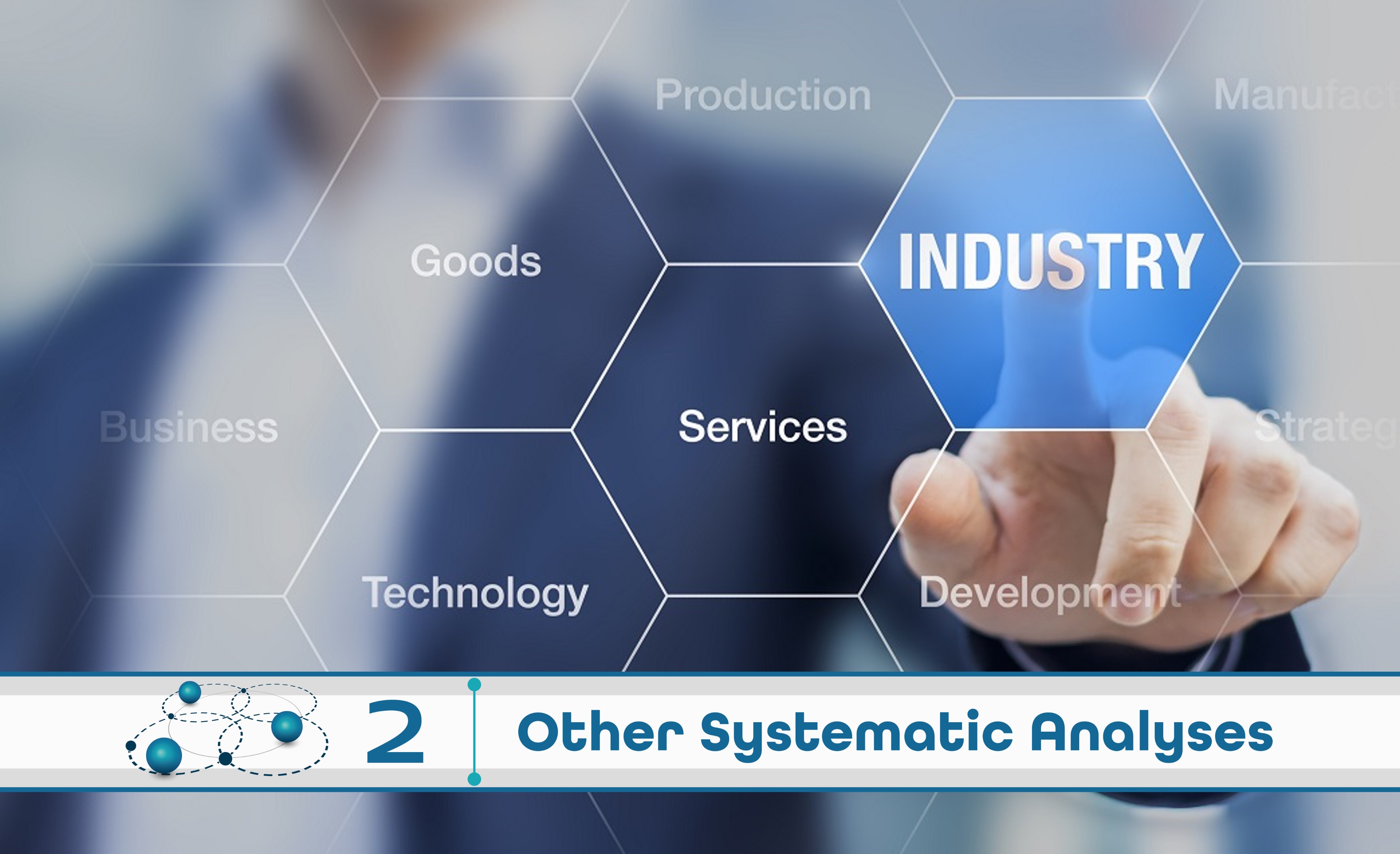 Level 2: Other Systematic Analysis