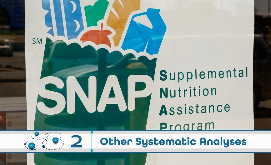 Level 2: Other Systematic Analysis