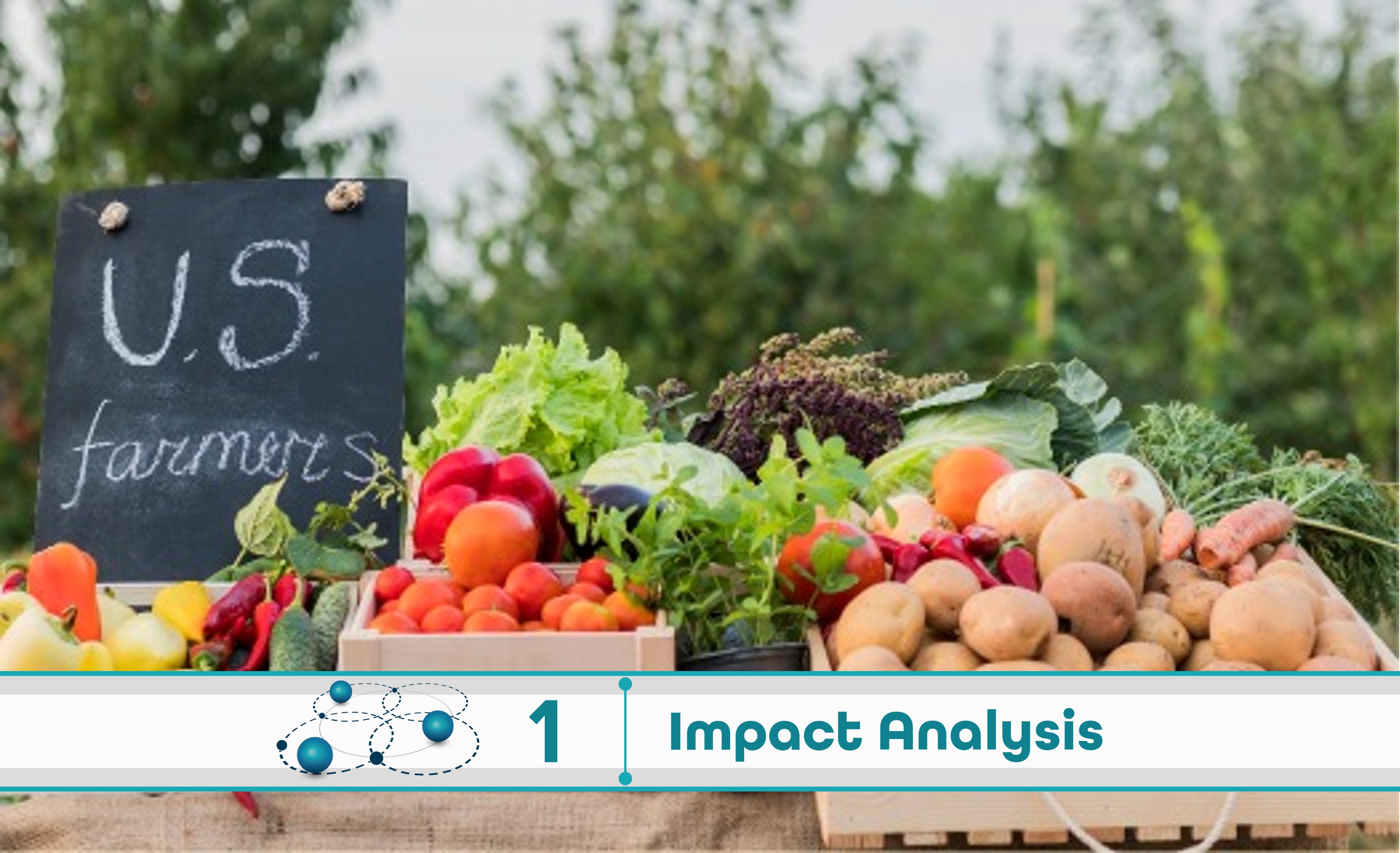 Level 1: Impact Analysis