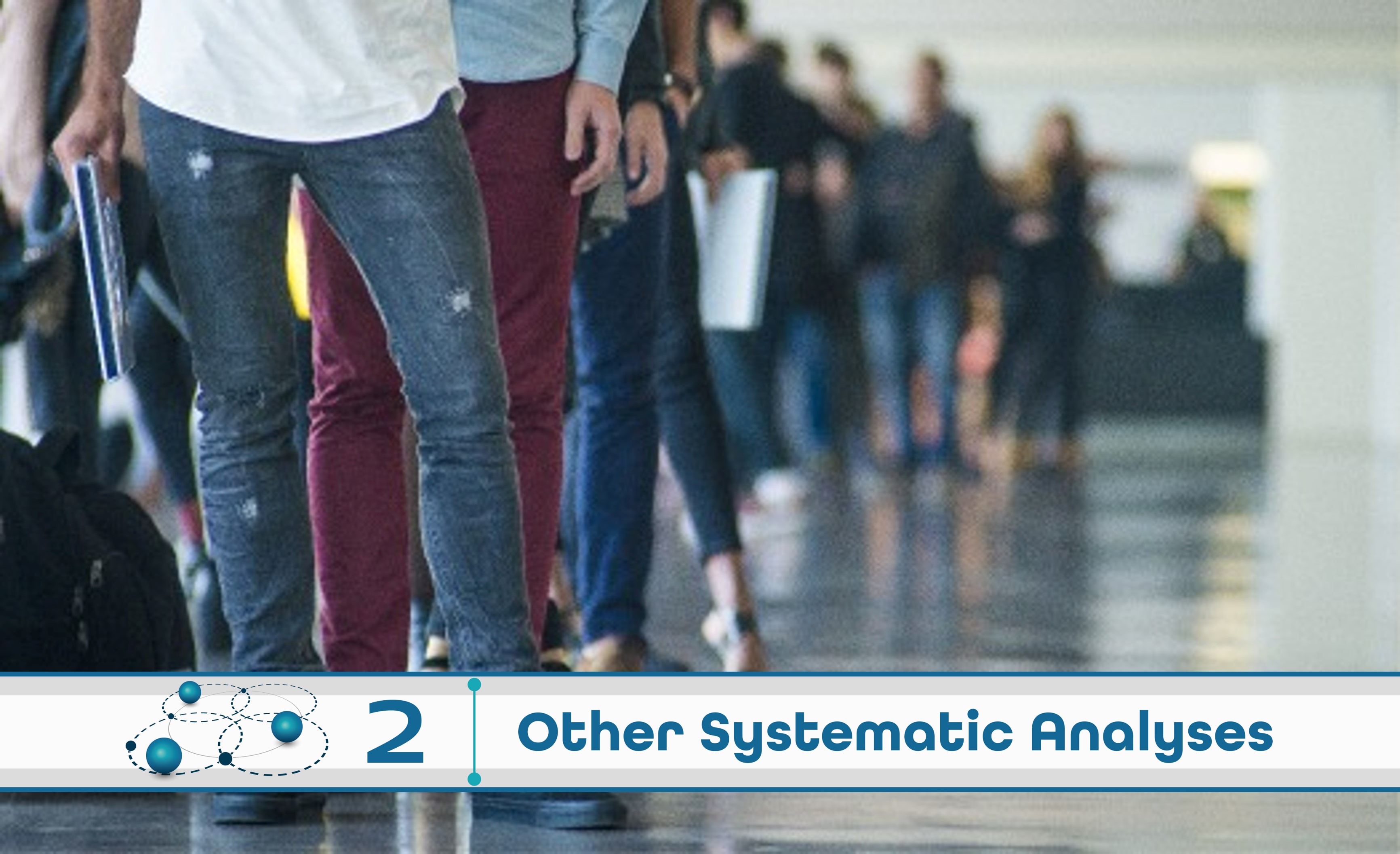  Level 2: Other Systematic Analysis