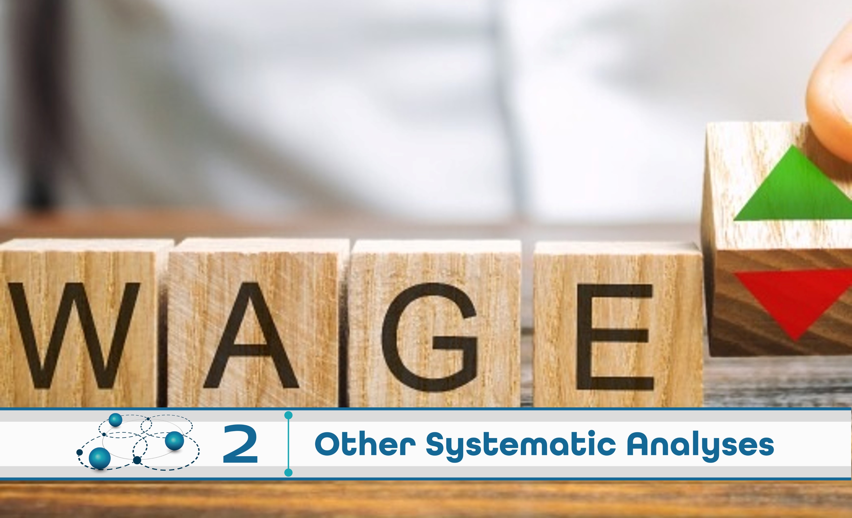 Level 2: Other Systematic Analysis