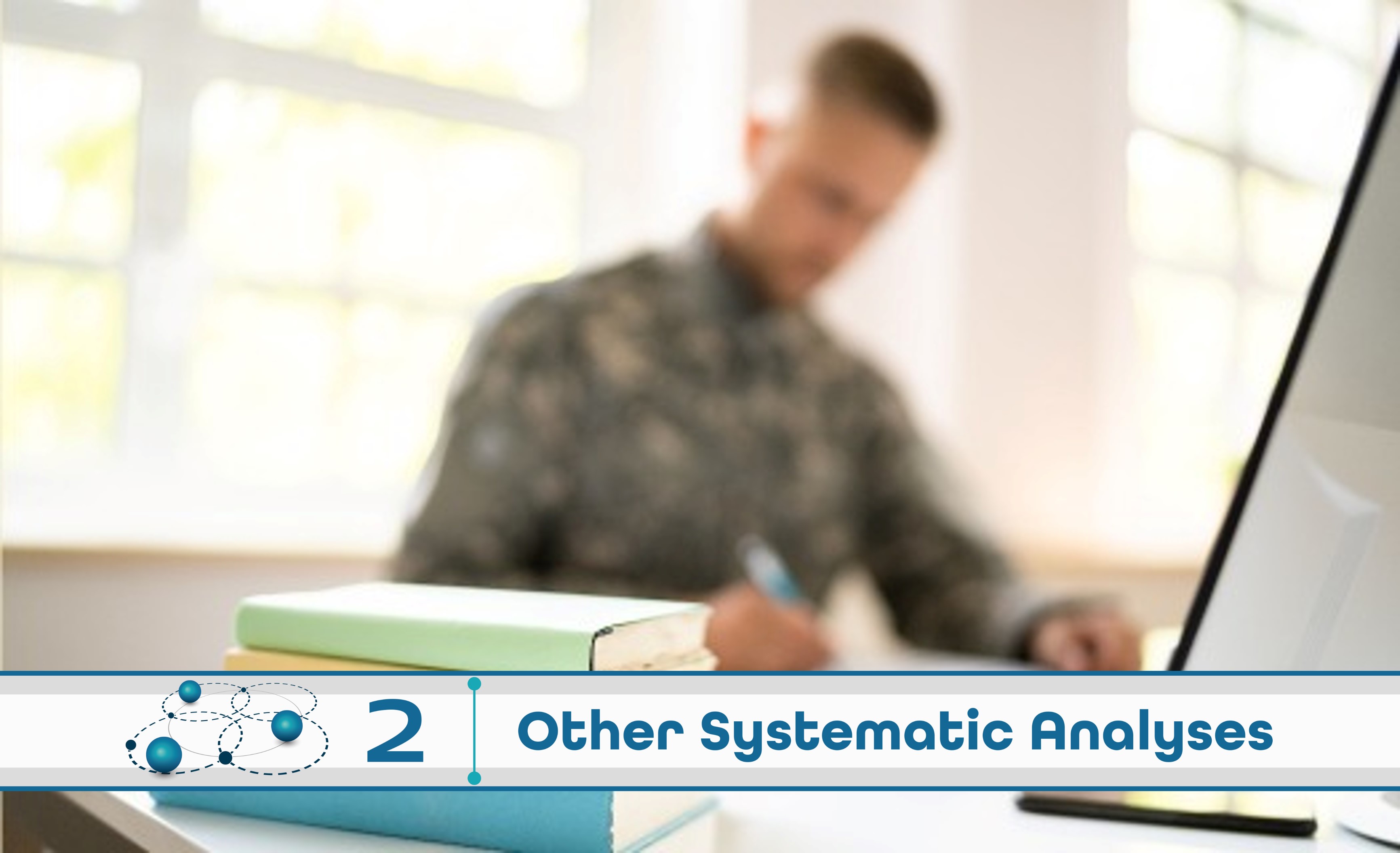 Level 2: Other Systematic Analysis