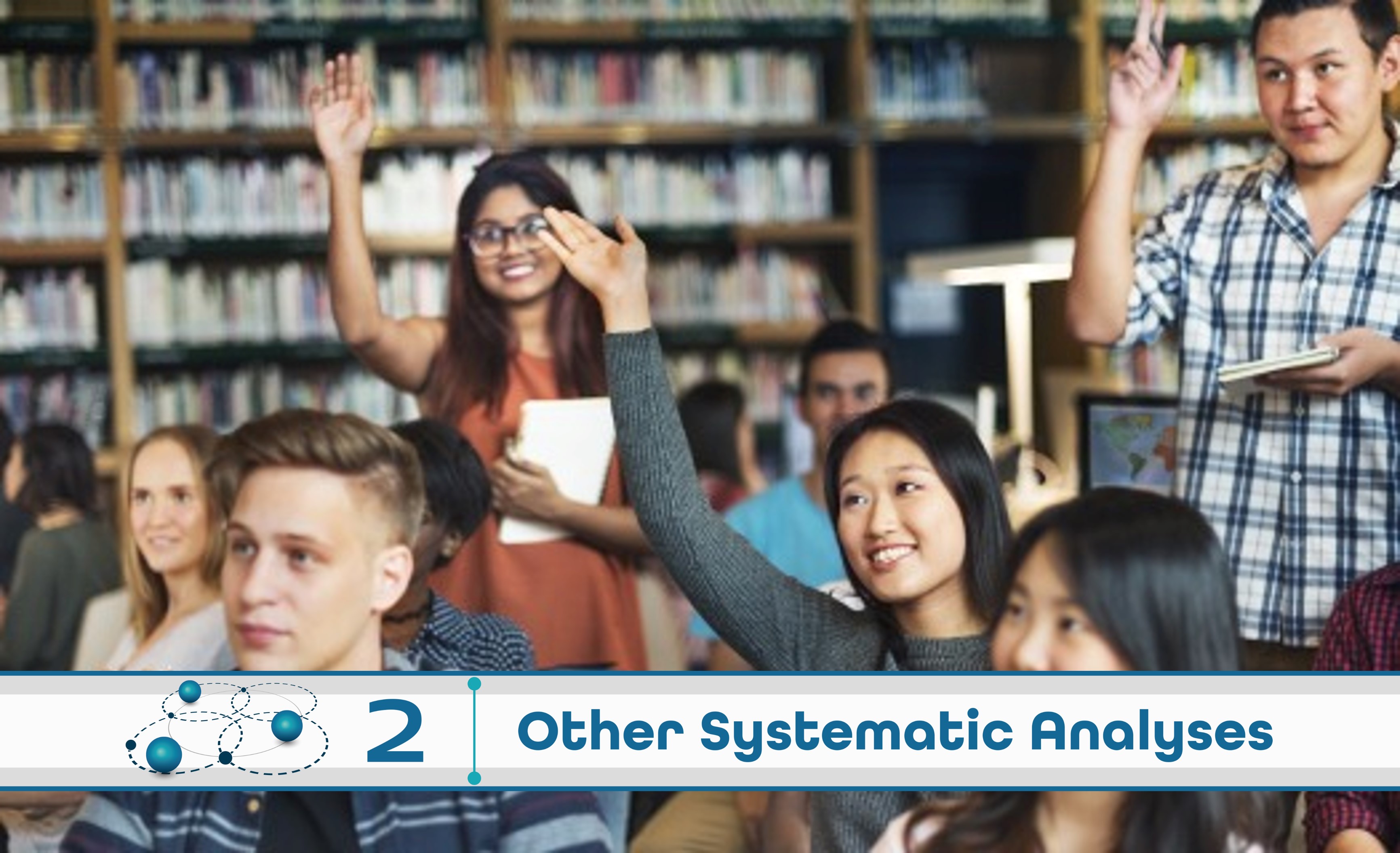 Level 2: Other Systematic Analysis
