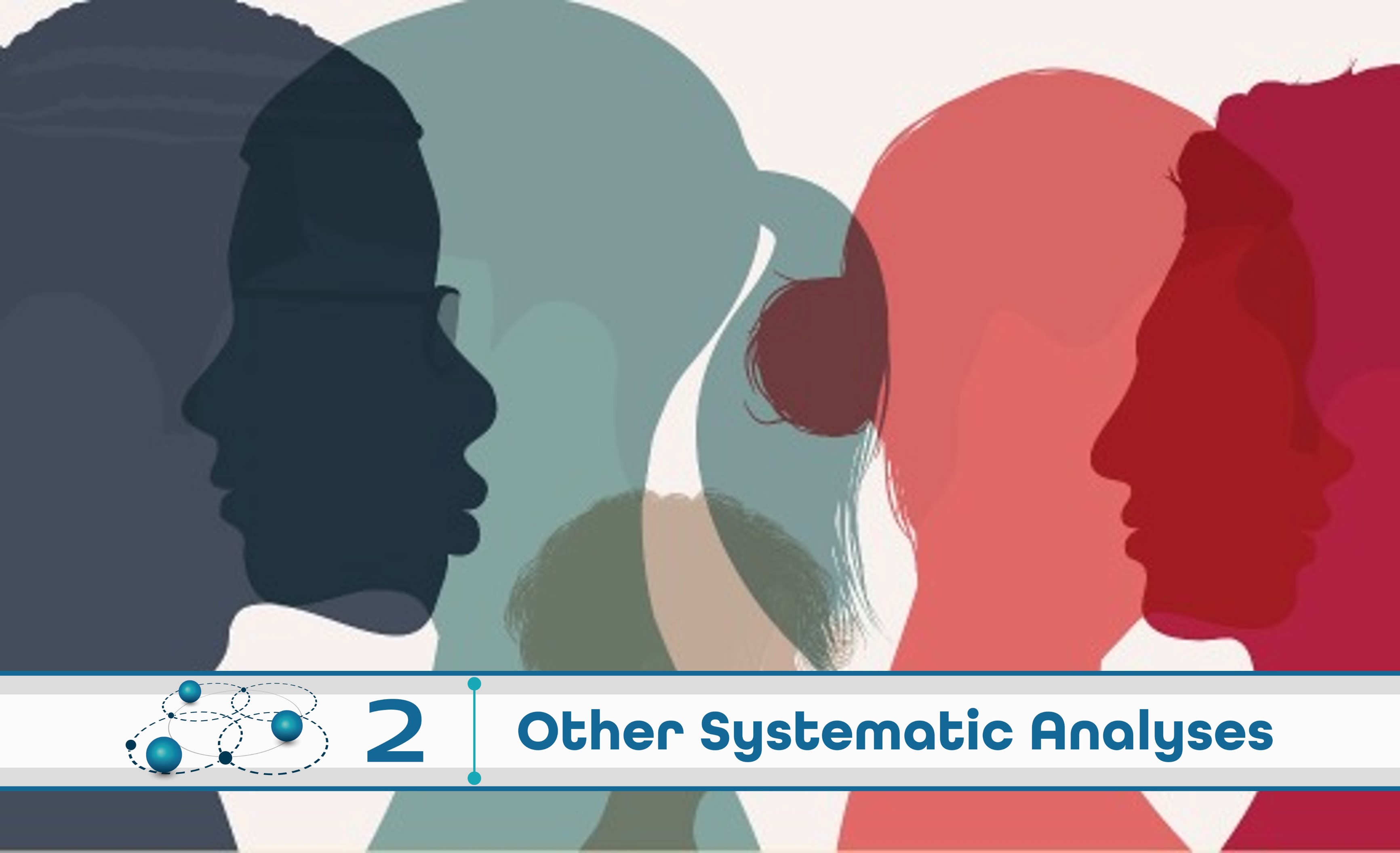 Level 2: Other Systematic Analysis