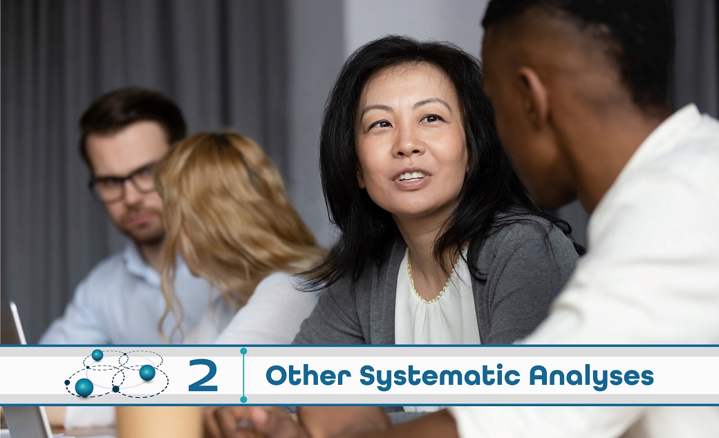Level 2: Other Systematic Analysis