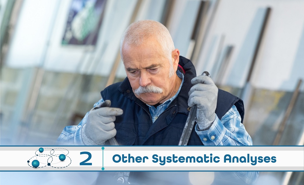 Level 2: Other Systematic Analysis