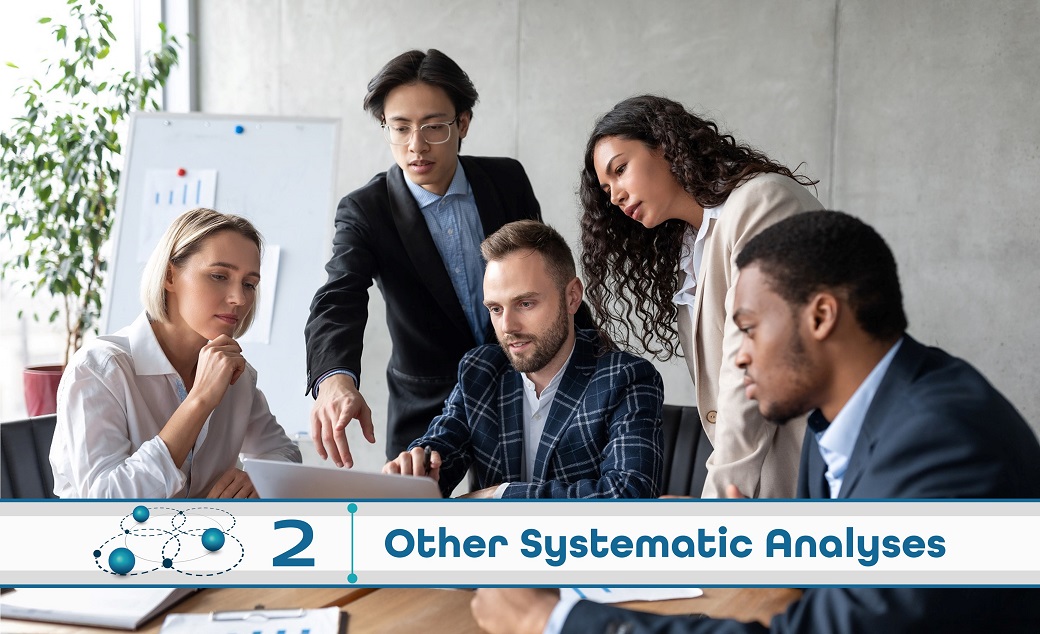 Level 2: Other Systematic Analysis