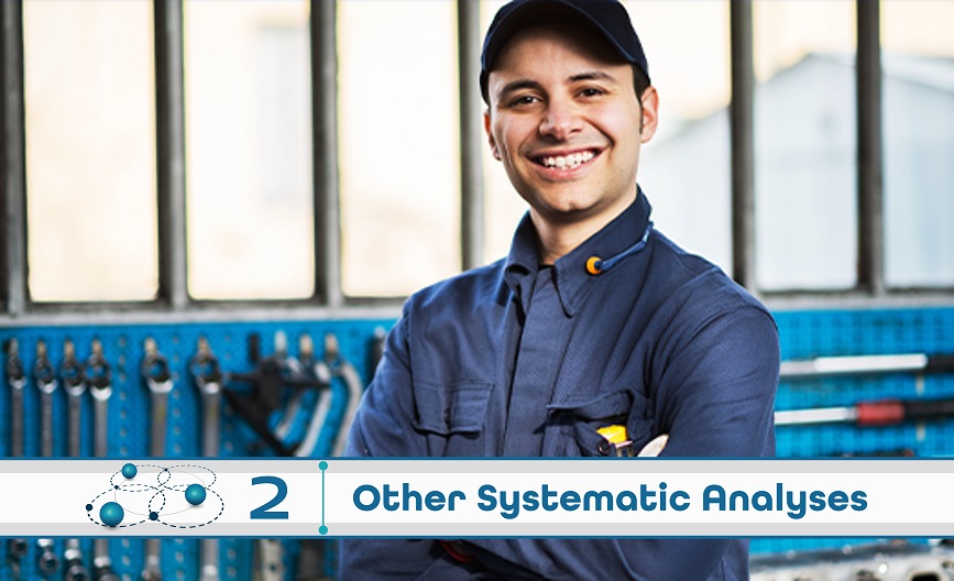 Level 2: Other Systematic Analysis