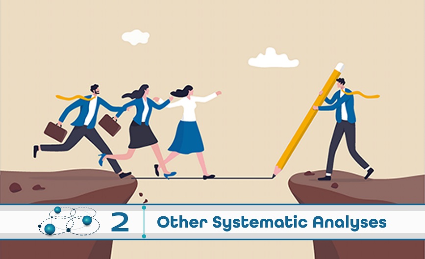 Level 2: Other Systematic Analysis