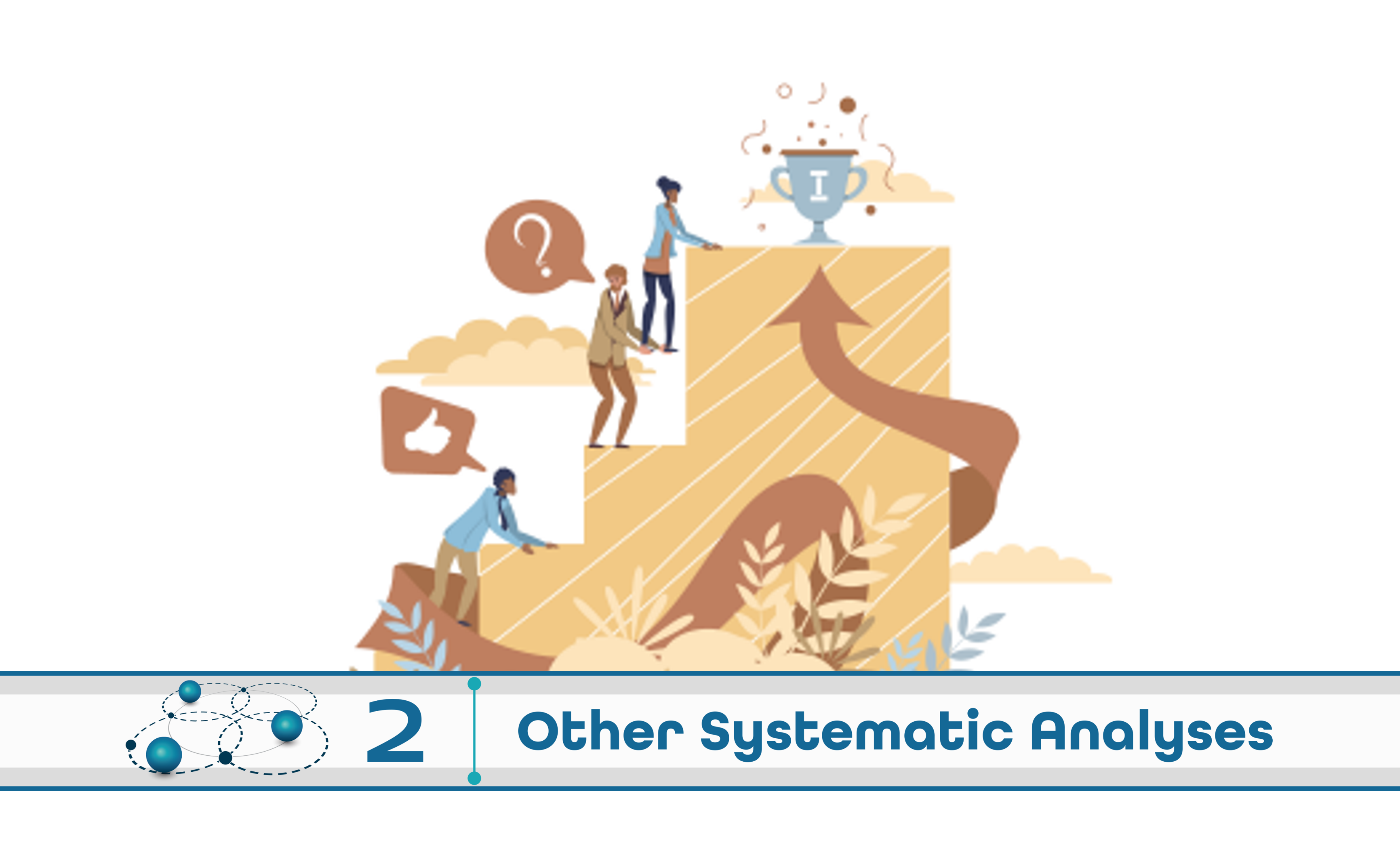  Level 2: Other Systematic Analysis