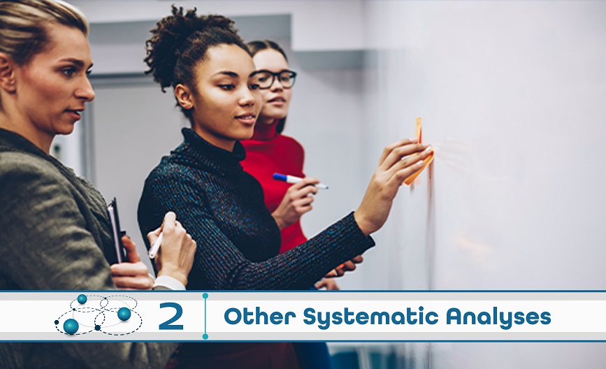 Level 2: Other Systematic Analysis
