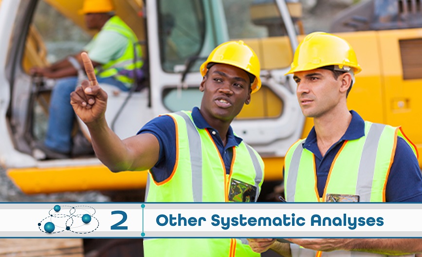 Level 2: Other Systematic Analysis