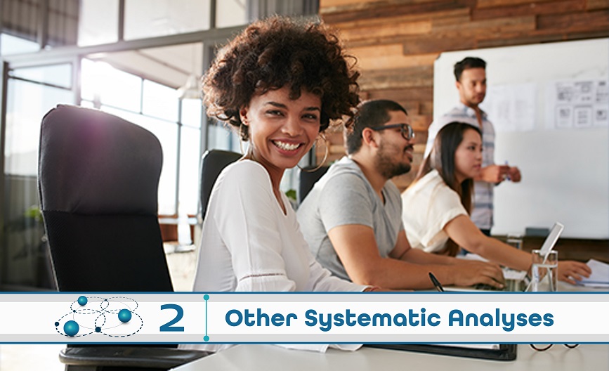 Level 2: Other Systematic Analysis